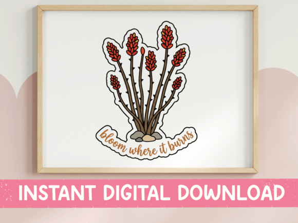 Bloom Where It Burns: A Designer’s Review